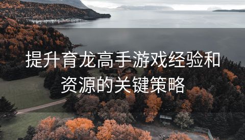 提升育龙高手游戏经验和资源的关键策略