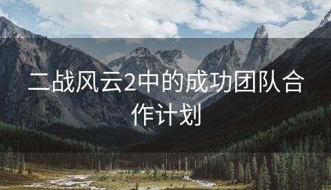 二战风云2中的成功团队合作计划