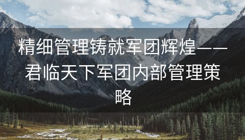 精细管理铸就军团辉煌——君临天下军团内部管理策略