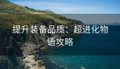 提升装备品质：超进化物语攻略