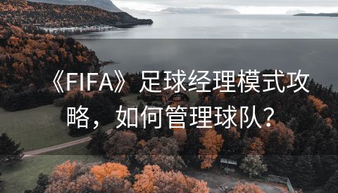 《FIFA》足球经理模式攻略，如何管理球队？