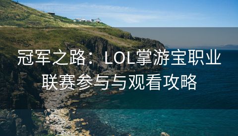 冠军之路：LOL掌游宝职业联赛参与与观看攻略