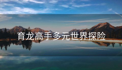 育龙高手多元世界探险
