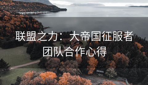 联盟之力：大帝国征服者团队合作心得