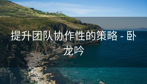 提升团队协作性的策略 - 卧龙吟