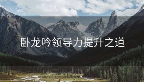 卧龙吟领导力提升之道