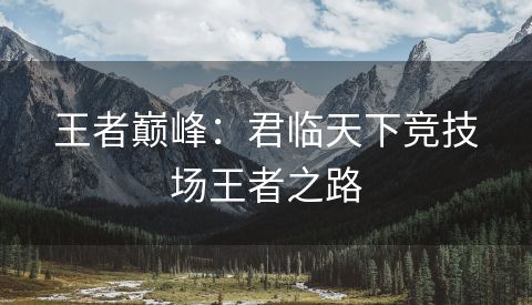 王者巅峰：君临天下竞技场王者之路