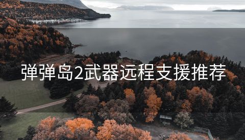 弹弹岛2武器远程支援推荐