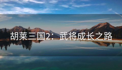 胡莱三国2：武将成长之路