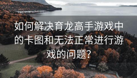如何解决育龙高手游戏中的卡图和无法正常进行游戏的问题？
