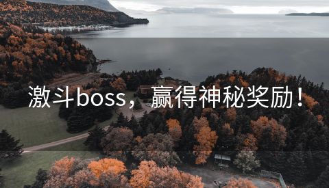 激斗boss，赢得神秘奖励！