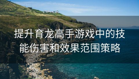 提升育龙高手游戏中的技能伤害和效果范围策略
