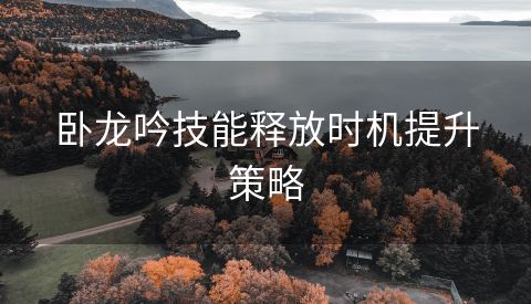 卧龙吟技能释放时机提升策略