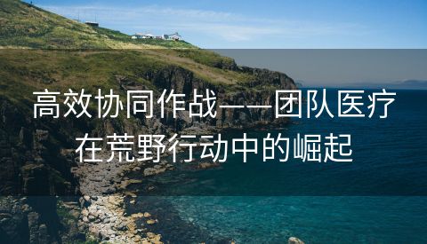 高效协同作战——团队医疗在荒野行动中的崛起