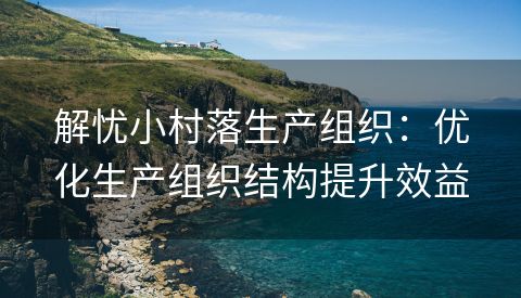 解忧小村落生产组织：优化生产组织结构提升效益