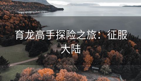 育龙高手探险之旅：征服大陆