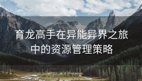 育龙高手在异能异界之旅中的资源管理策略