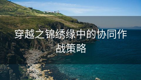 穿越之锦绣缘中的协同作战策略