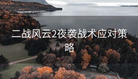 二战风云2夜袭战术应对策略