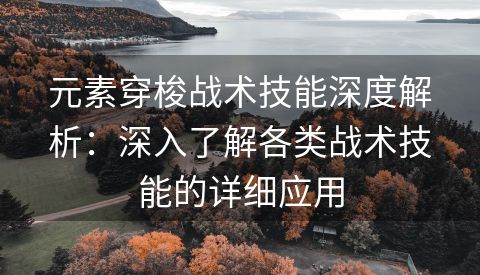 元素穿梭战术技能深度解析：深入了解各类战术技能的详细应用