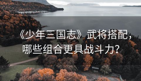 《少年三国志》武将搭配，哪些组合更具战斗力？