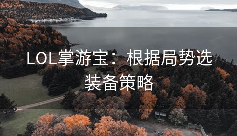 LOL掌游宝：根据局势选装备策略