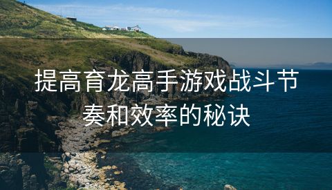 提高育龙高手游戏战斗节奏和效率的秘诀