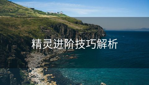 精灵进阶技巧解析