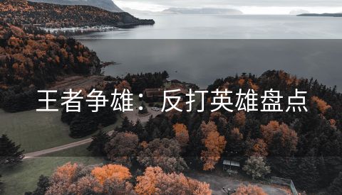 王者争雄：反打英雄盘点
