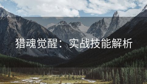 猎魂觉醒：实战技能解析
