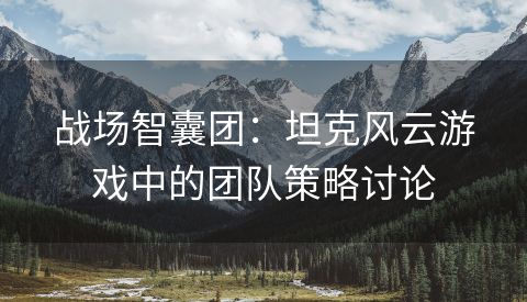 战场智囊团：坦克风云游戏中的团队策略讨论