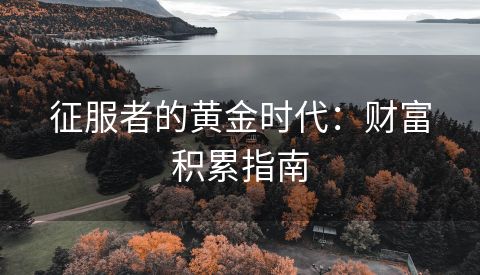 征服者的黄金时代：财富积累指南