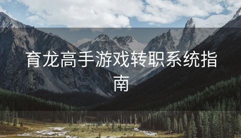 育龙高手游戏转职系统指南