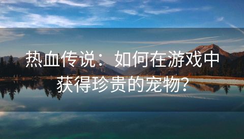 热血传说：如何在游戏中获得珍贵的宠物？