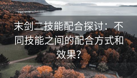 末剑二技能配合探讨：不同技能之间的配合方式和效果？