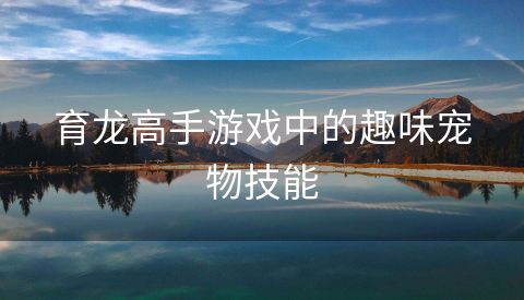 育龙高手游戏中的趣味宠物技能