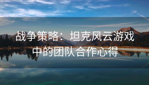 战争策略：坦克风云游戏中的团队合作心得
