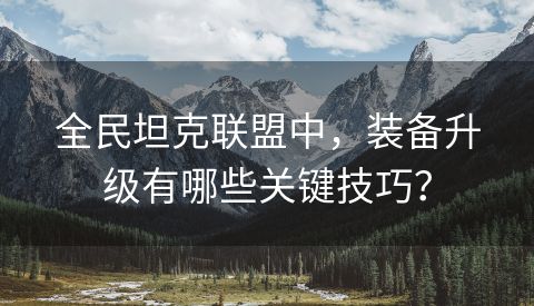 全民坦克联盟中，装备升级有哪些关键技巧？