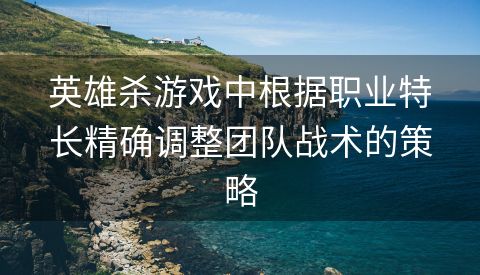 英雄杀游戏中根据职业特长精确调整团队战术的策略