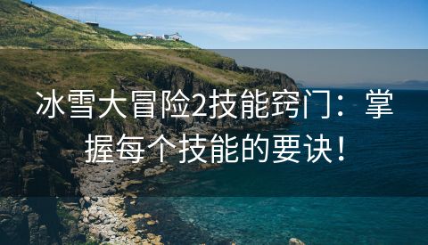 冰雪大冒险2技能窍门：掌握每个技能的要诀！