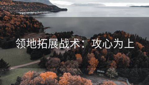 领地拓展战术：攻心为上
