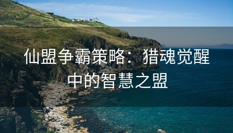 仙盟争霸策略：猎魂觉醒中的智慧之盟