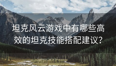 坦克风云游戏中有哪些高效的坦克技能搭配建议？