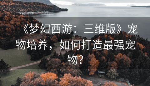 《梦幻西游：三维版》宠物培养，如何打造最强宠物？