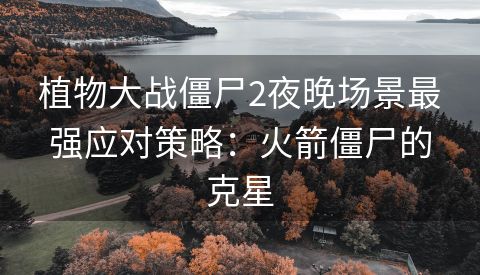 植物大战僵尸2夜晚场景最强应对策略：火箭僵尸的克星
