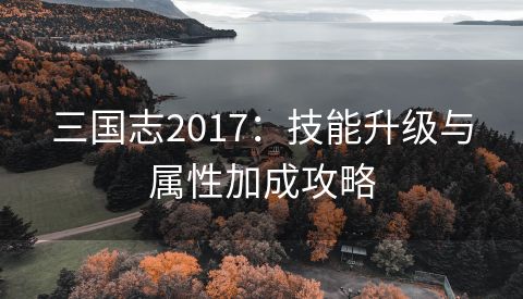 三国志2017：技能升级与属性加成攻略