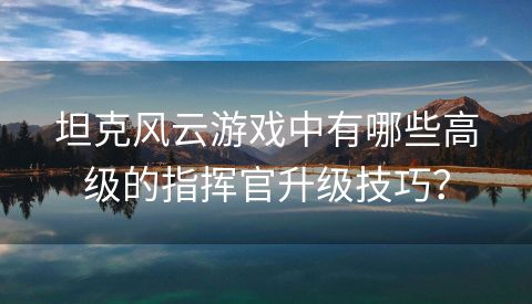 坦克风云游戏中有哪些高级的指挥官升级技巧？