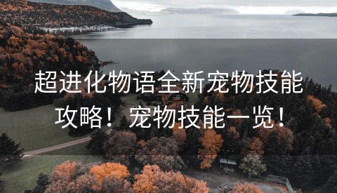 超进化物语全新宠物技能攻略！宠物技能一览！