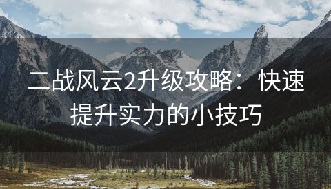 二战风云2升级攻略：快速提升实力的小技巧