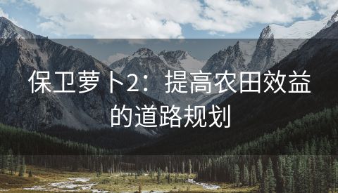 保卫萝卜2：提高农田效益的道路规划
